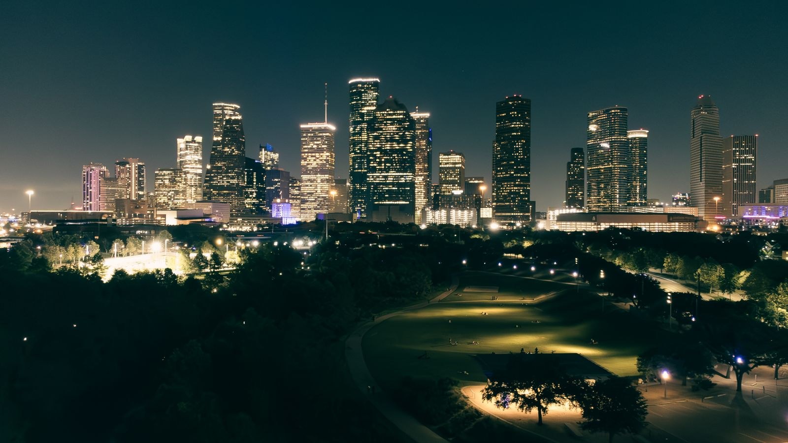 Houston skyline at night from a park